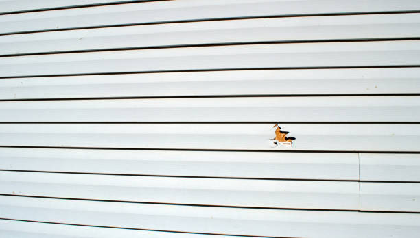 Best Siding for Multi-Family Homes  in Reno, OH