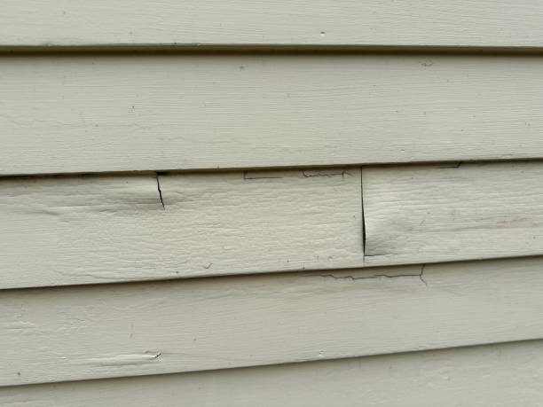 Best Siding Removal and Disposal  in Reno, OH